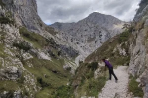 Poncebos a Bulnes - Janir mirando hacia la parte baja del barranco