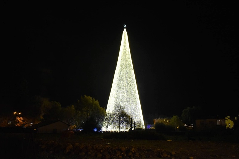 Árbol de Navidad encendido de color blanco en la oscuridad de la noche.