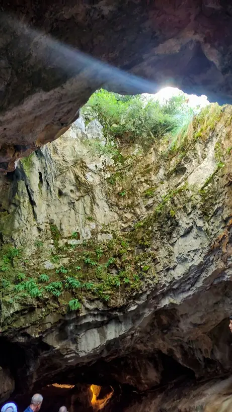 Vista inferior de la sima de la cueva de las Güixas
