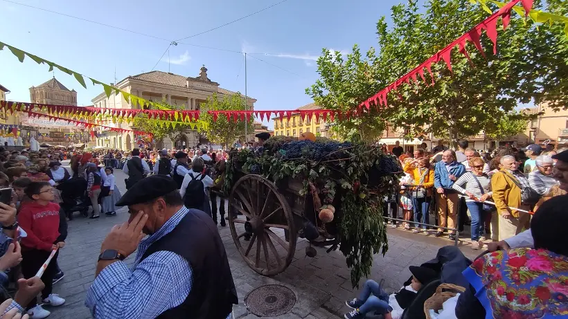 Fiesta de la vendimia de Toro